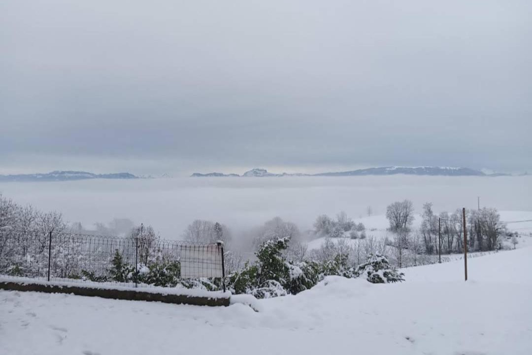 Photo of Others in Moye