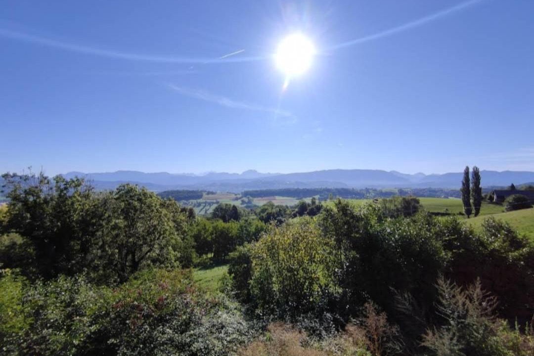 Photo of Others in Moye