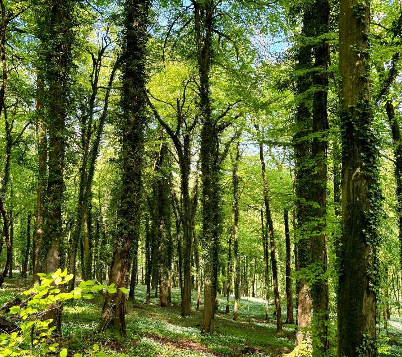 Photo of Outdoor in Stroud