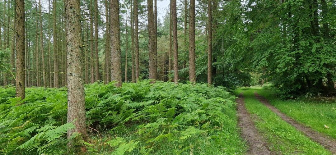 Photo of Others in Norager