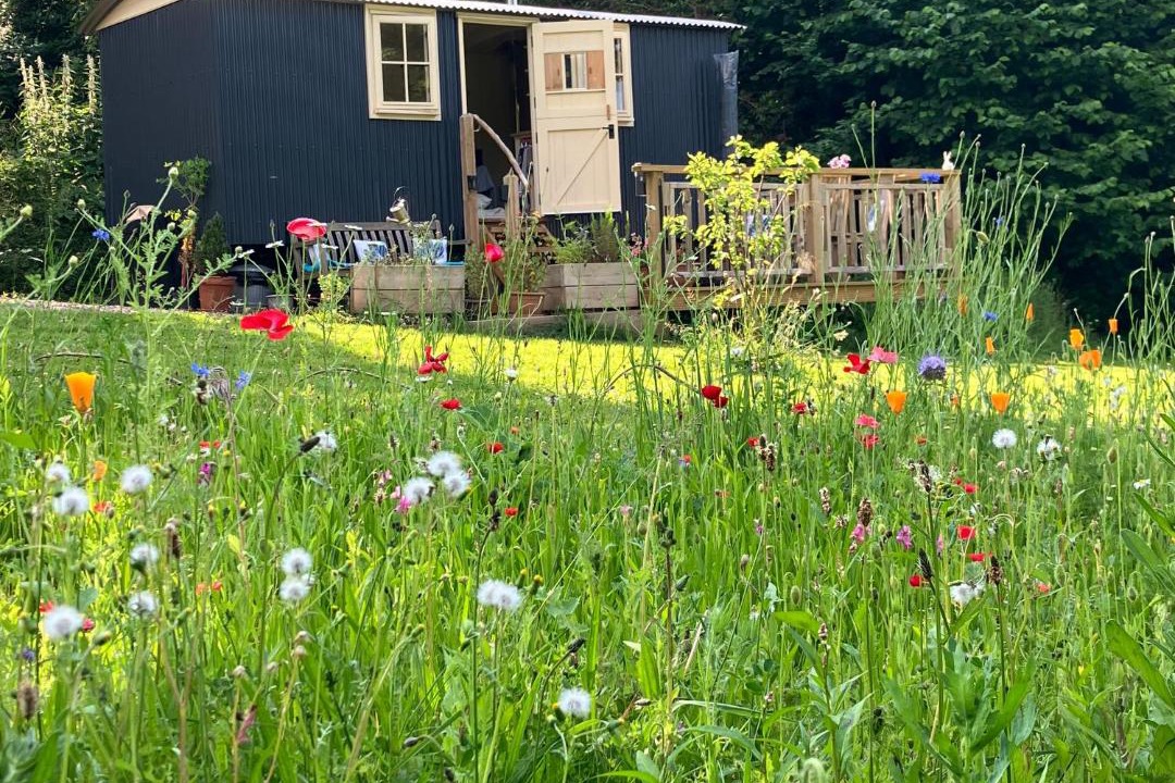 Photo of Outdoor in Haslemere