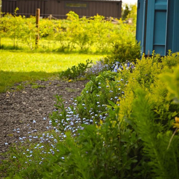 Photo of Others in Evesham