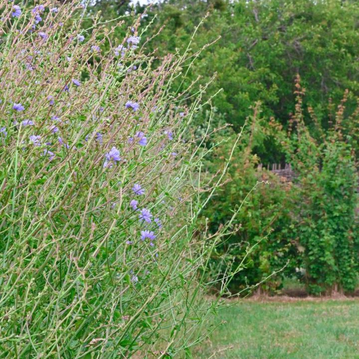 Photo of Outdoor in Evesham