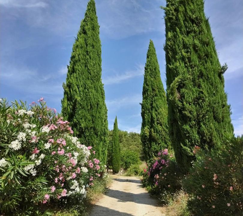 Photo of Outdoor in Blauzac