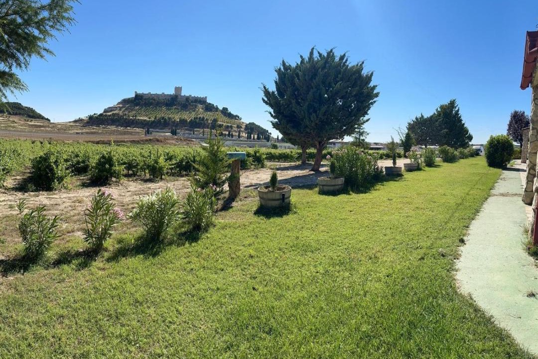 Photo of Others in Penafiel