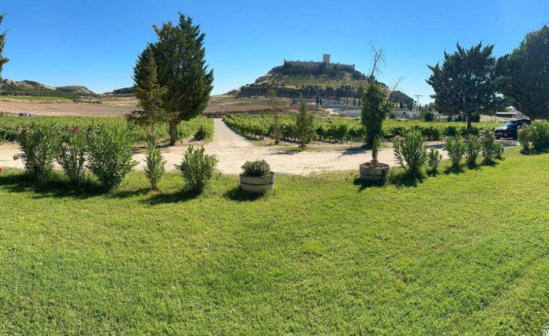 Photo of Others in Penafiel