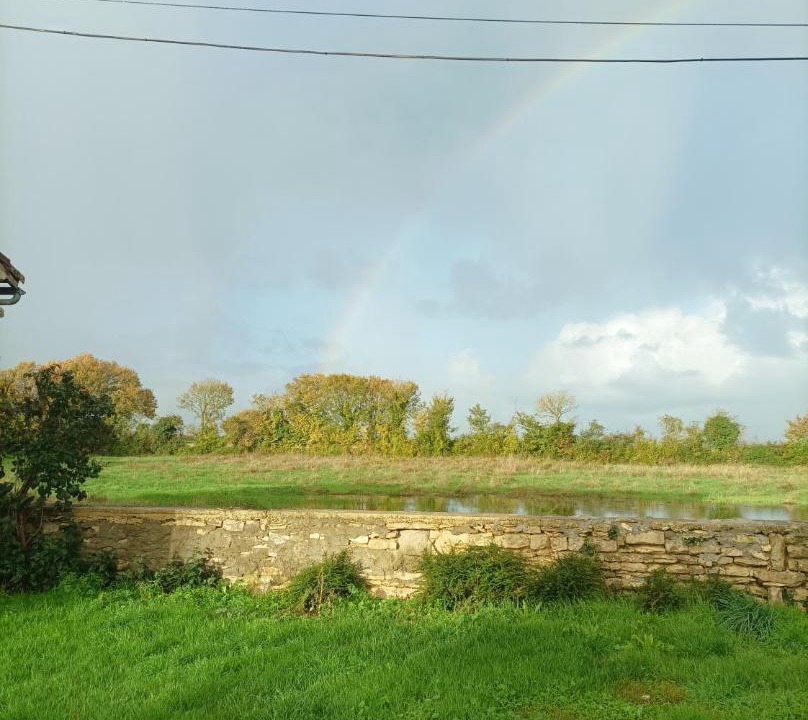 Photo of Others in Asnieres-en-Poitou