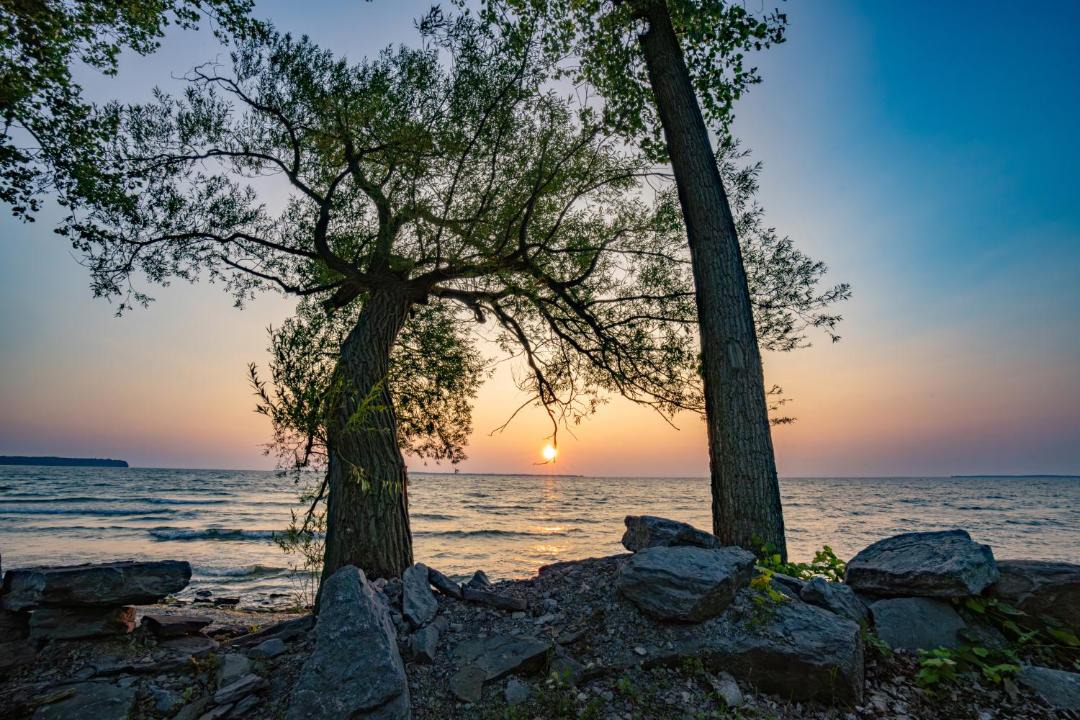 Photo of Others in Henderson