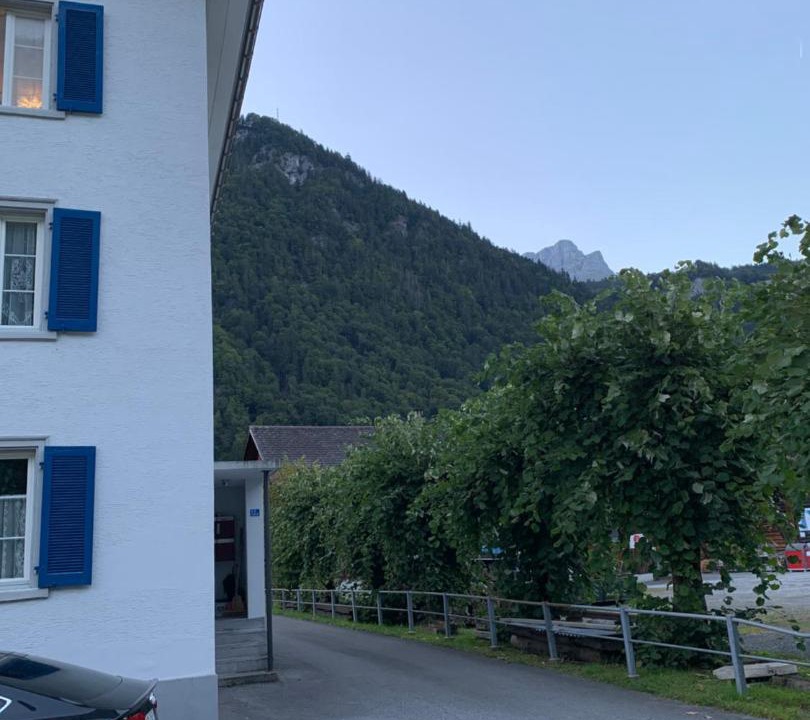 Photo of Others in Linthal