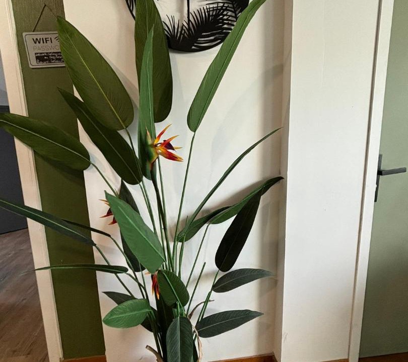 Photo of Others in Louviers