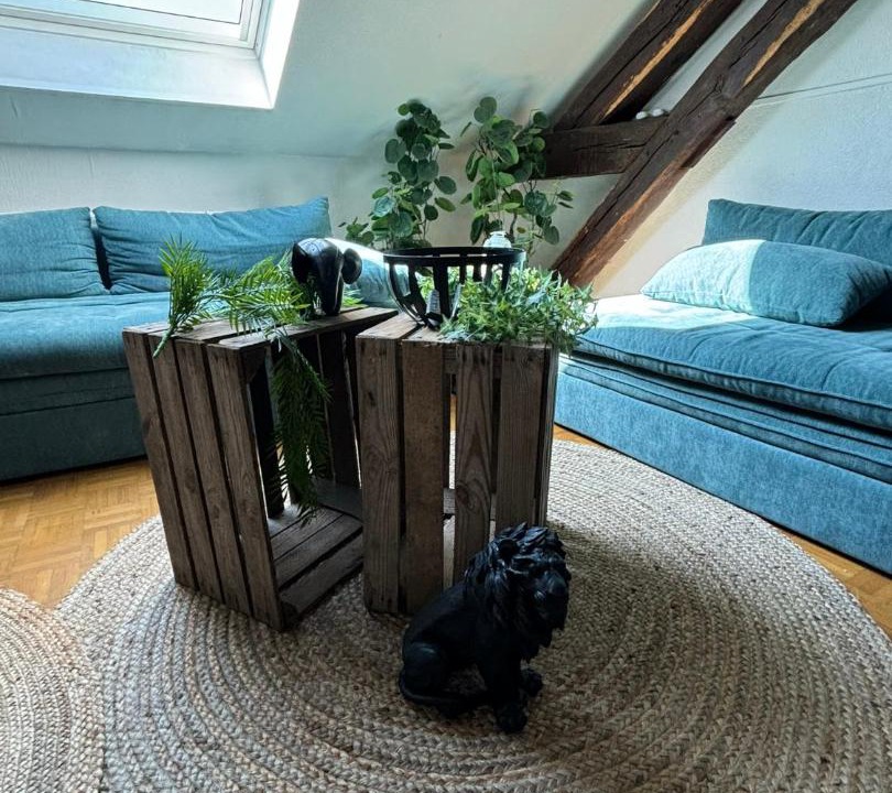 Photo of Livingroom in Louviers