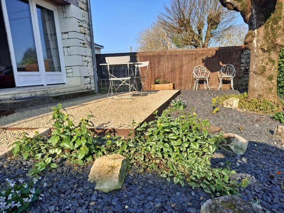 Photo of Others in Anche