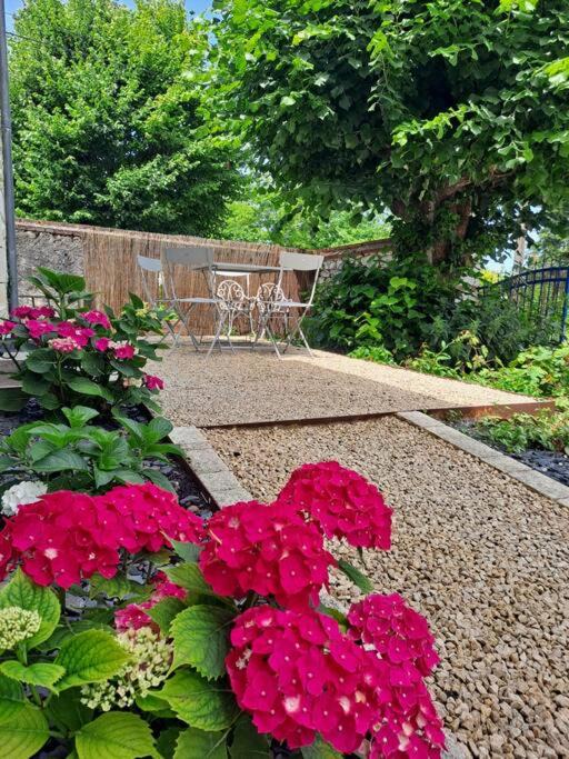 Photo of Others in Anche