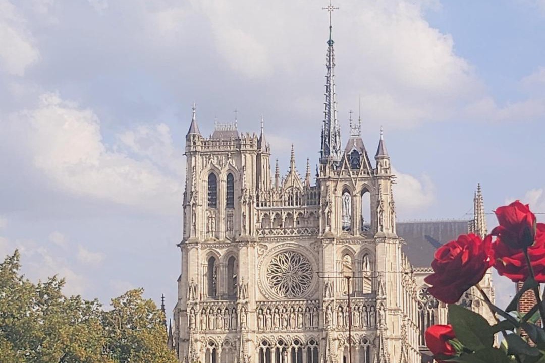 Photo of Patio Balcony in Saint-Leu