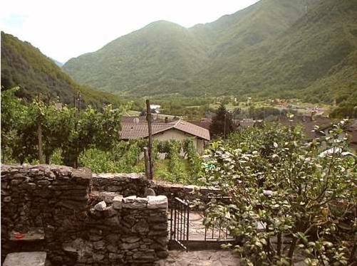 Photo of Others in Aurigeno