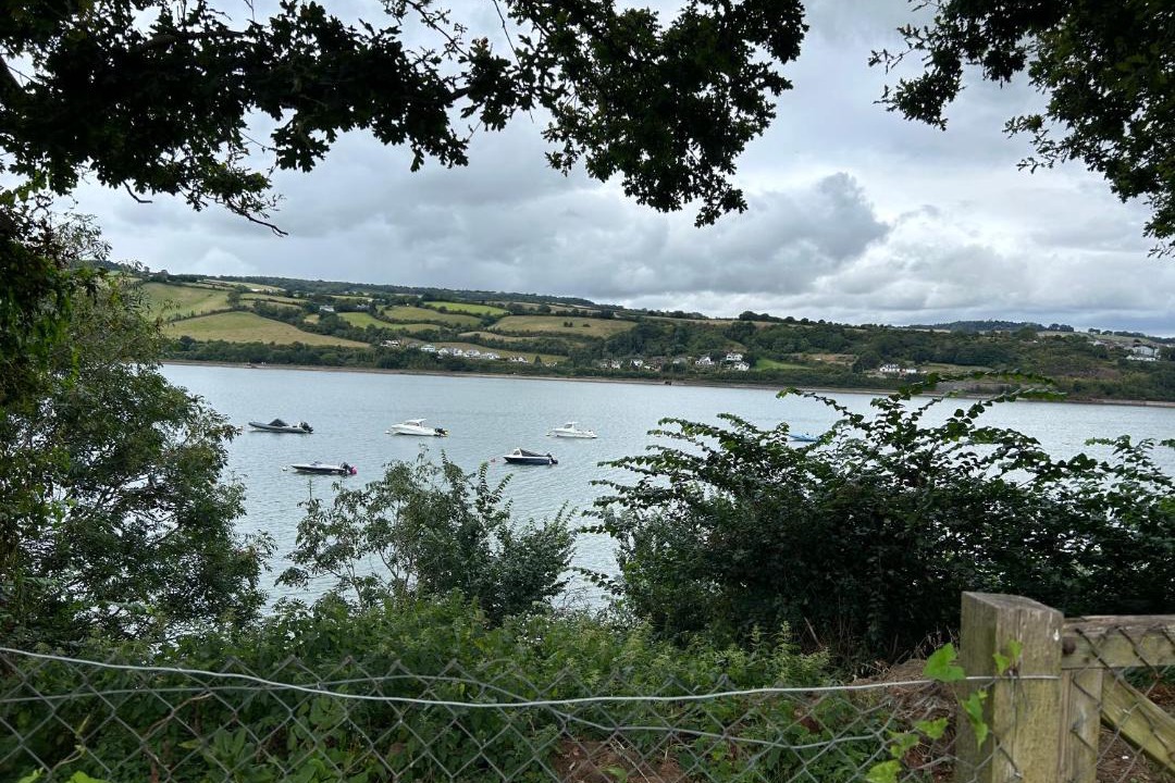 Photo of Others in Shaldon