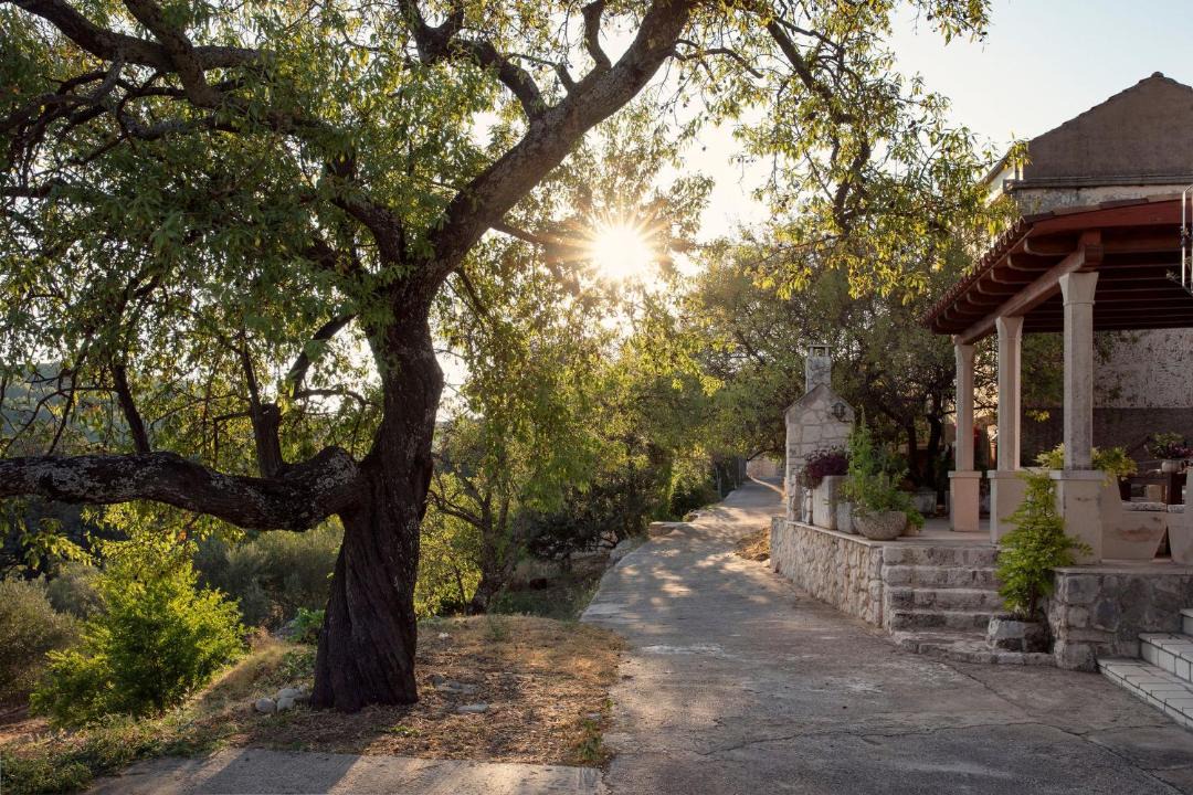 Photo of Others in Mljet