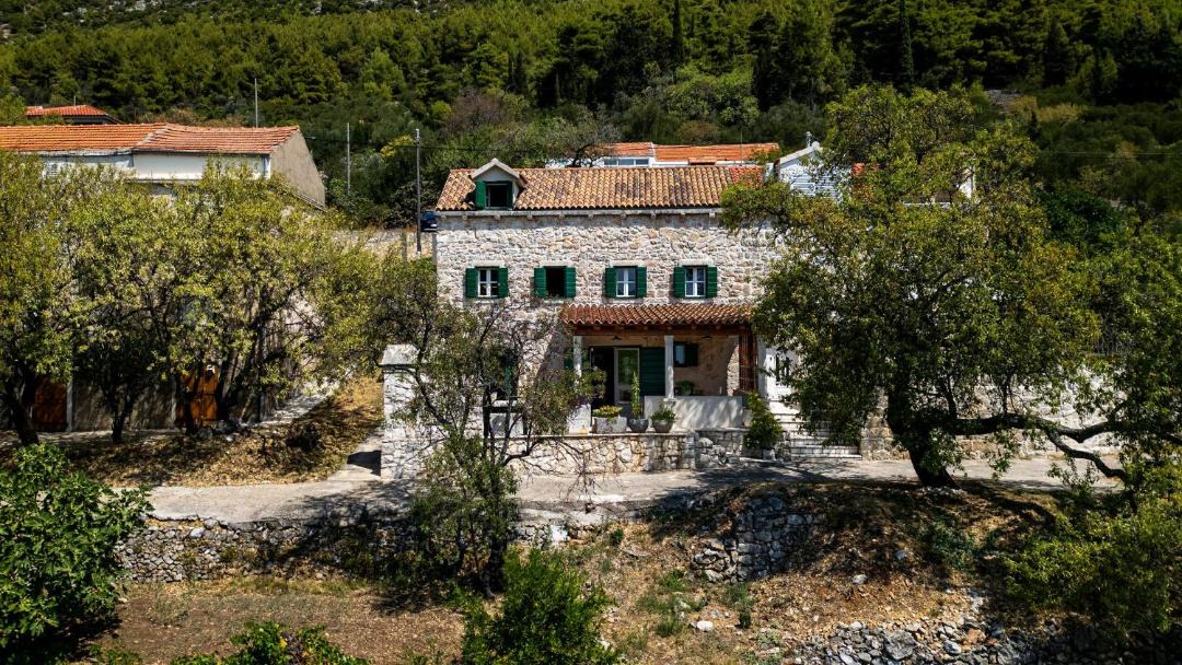 Photo of Others in Mljet