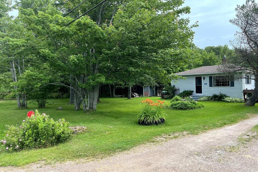 Photo of Others in Stoney Creek