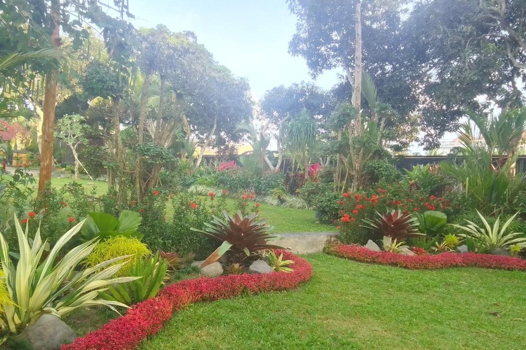 Photo of Others in Mas