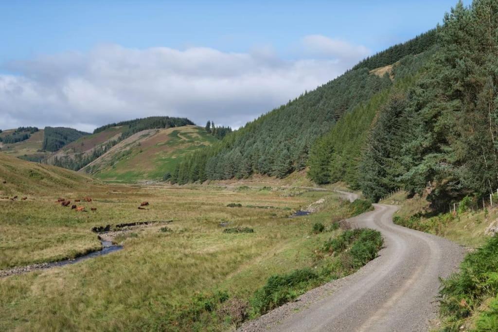 Photo of Others in Selkirk