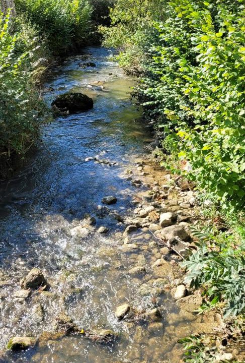 Photo of Outdoor in Ravilloles