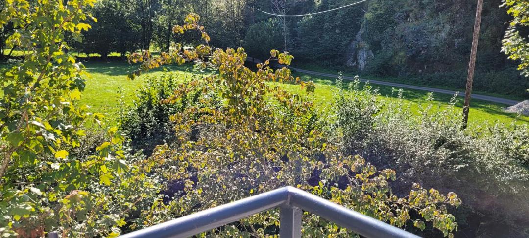 Photo of Others in Ravilloles