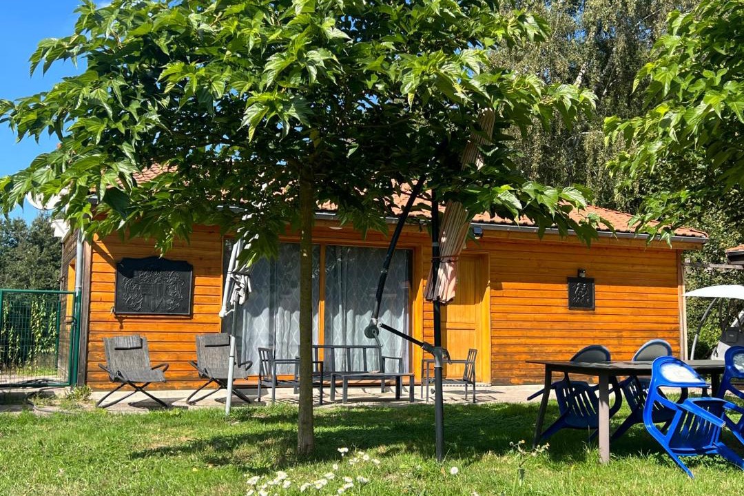 Photo of Others in Youx