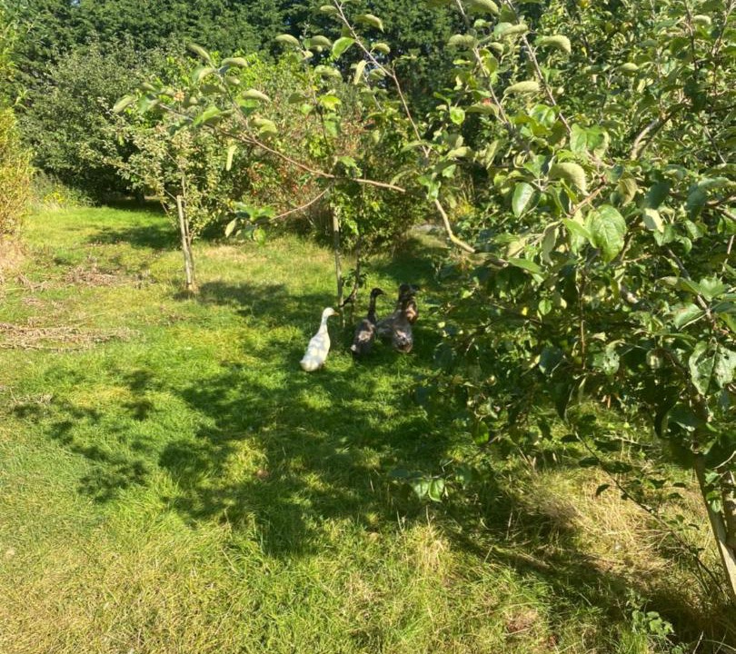 Photo of Outdoor in Thornton-le-Moors