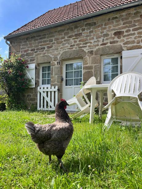 Photo of Others in Royere-de-Vassiviere
