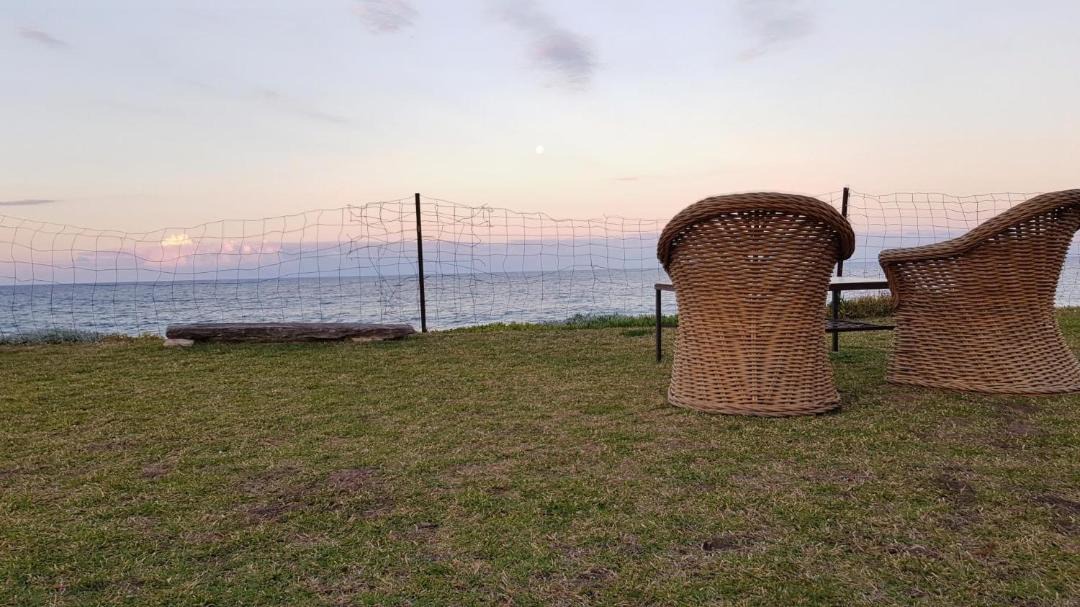 Photo of Others in Narrabeen