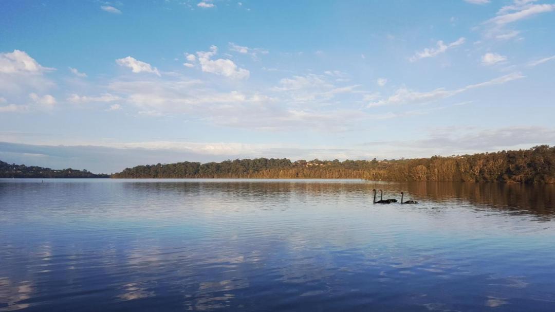 Photo of Others in Narrabeen