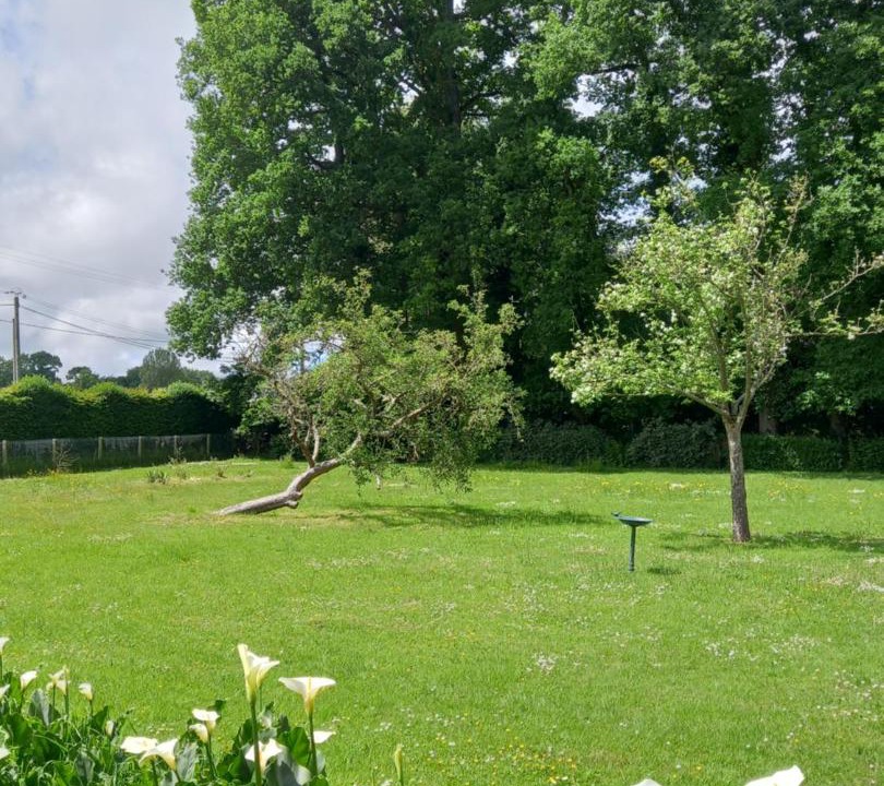 Photo of Others in Daubeuf-Serville