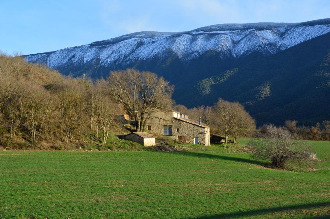 Photo of Others in Llimiana