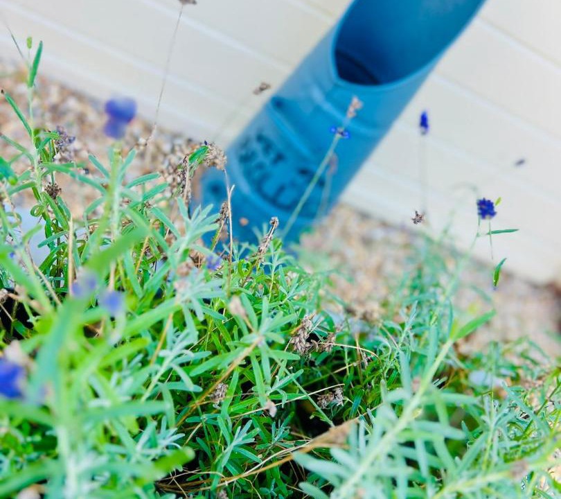 Photo of Outdoor in Wimborne