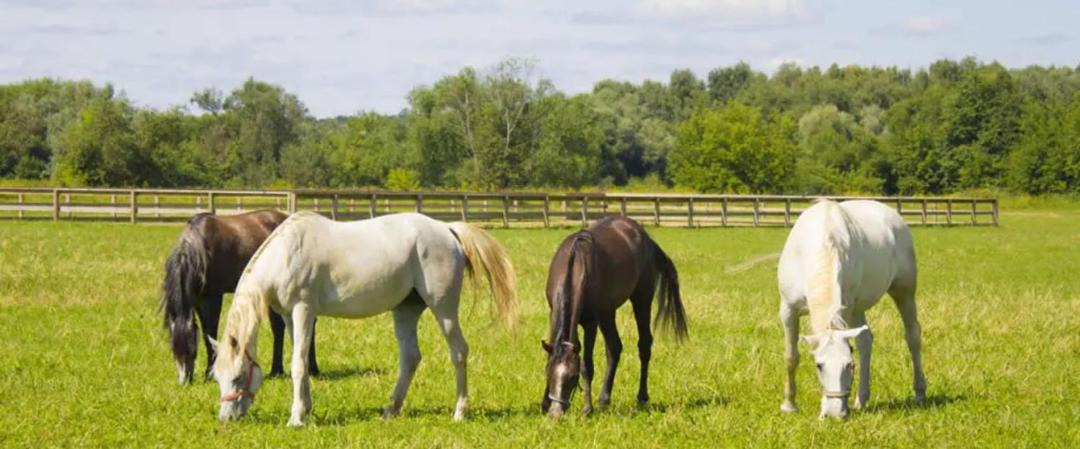 Photo of Others in Wimborne