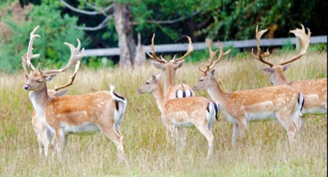 Photo of Others in Wimborne