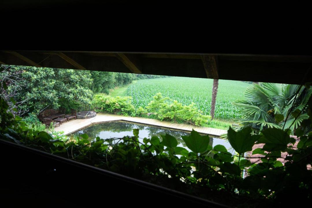 Photo of Others in Montfort-en-Chalosse