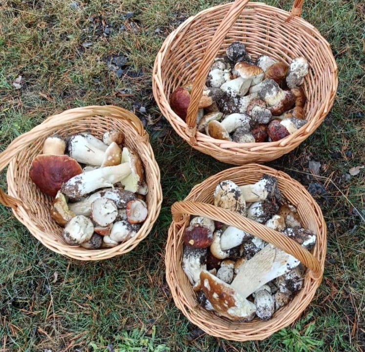 Photo of Outdoor in San Leonardo de Yague