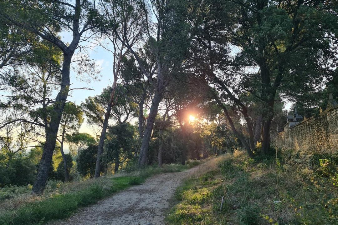 Photo of Others in Barbentane