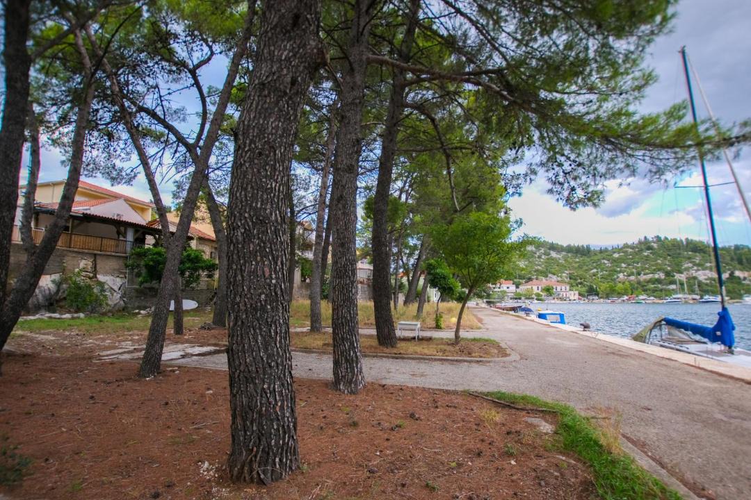 Photo of Others in Ploce