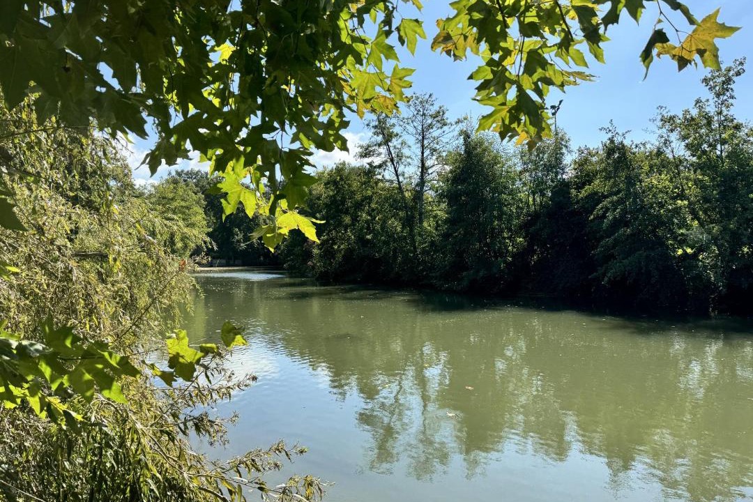 Photo of Others in Funay - Bruyeres