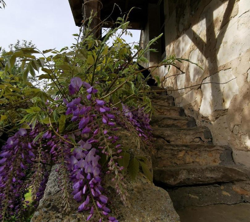 Photo of Others in Mayet