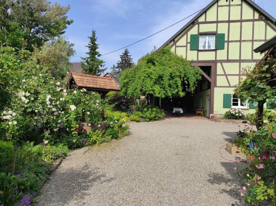 Photo of Others in Richtolsheim