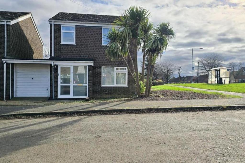 Photo of Others in St Ives