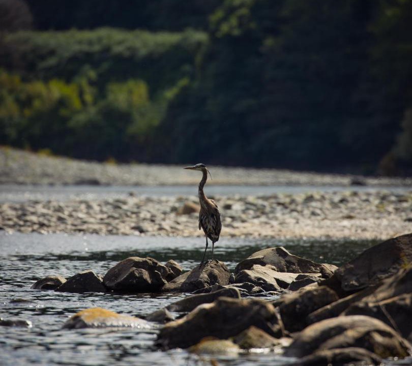 Photo of Human In Picture in Gold Beach