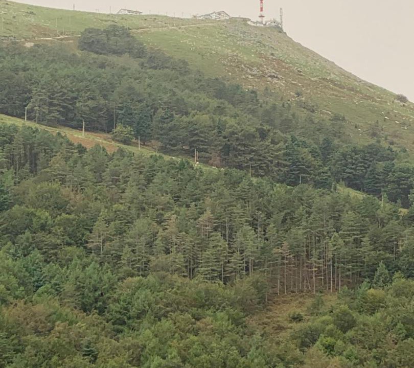 Photo of Others in Mazeres