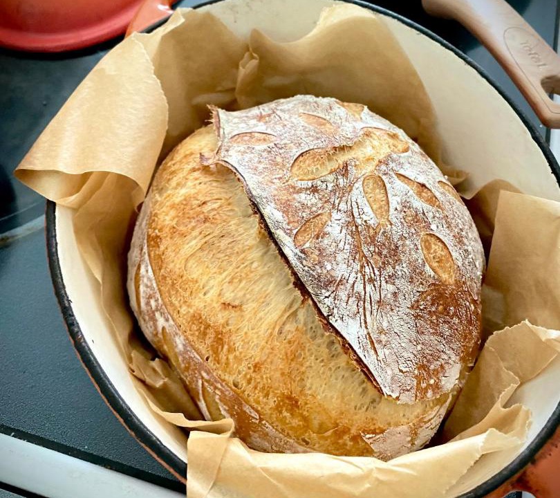 Photo of Others in Mount Vision