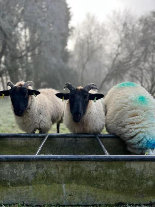 Photo of Others in Hethel