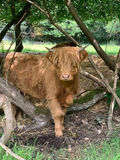 Photo of Others in Hethel